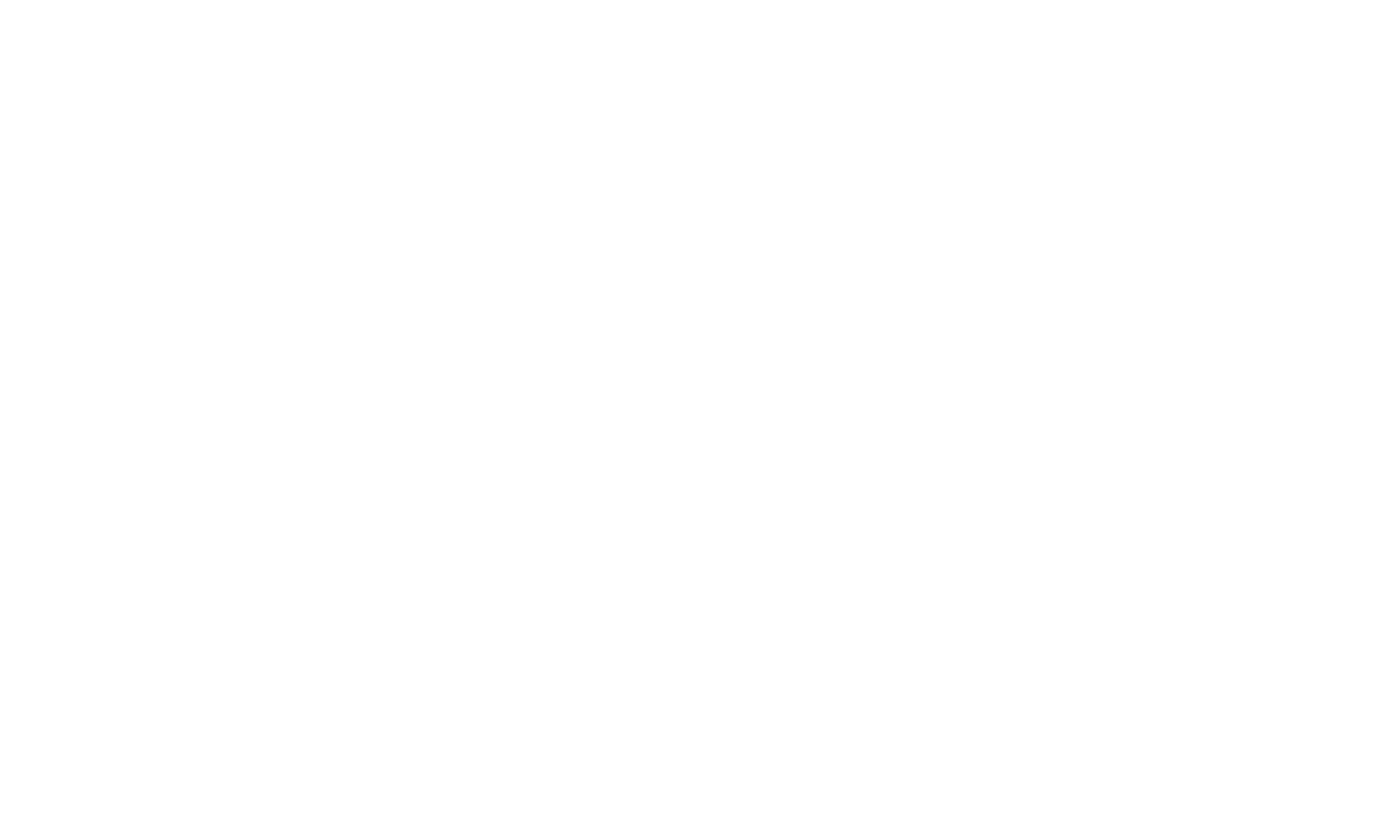 The Wedding Maestro Website Logo